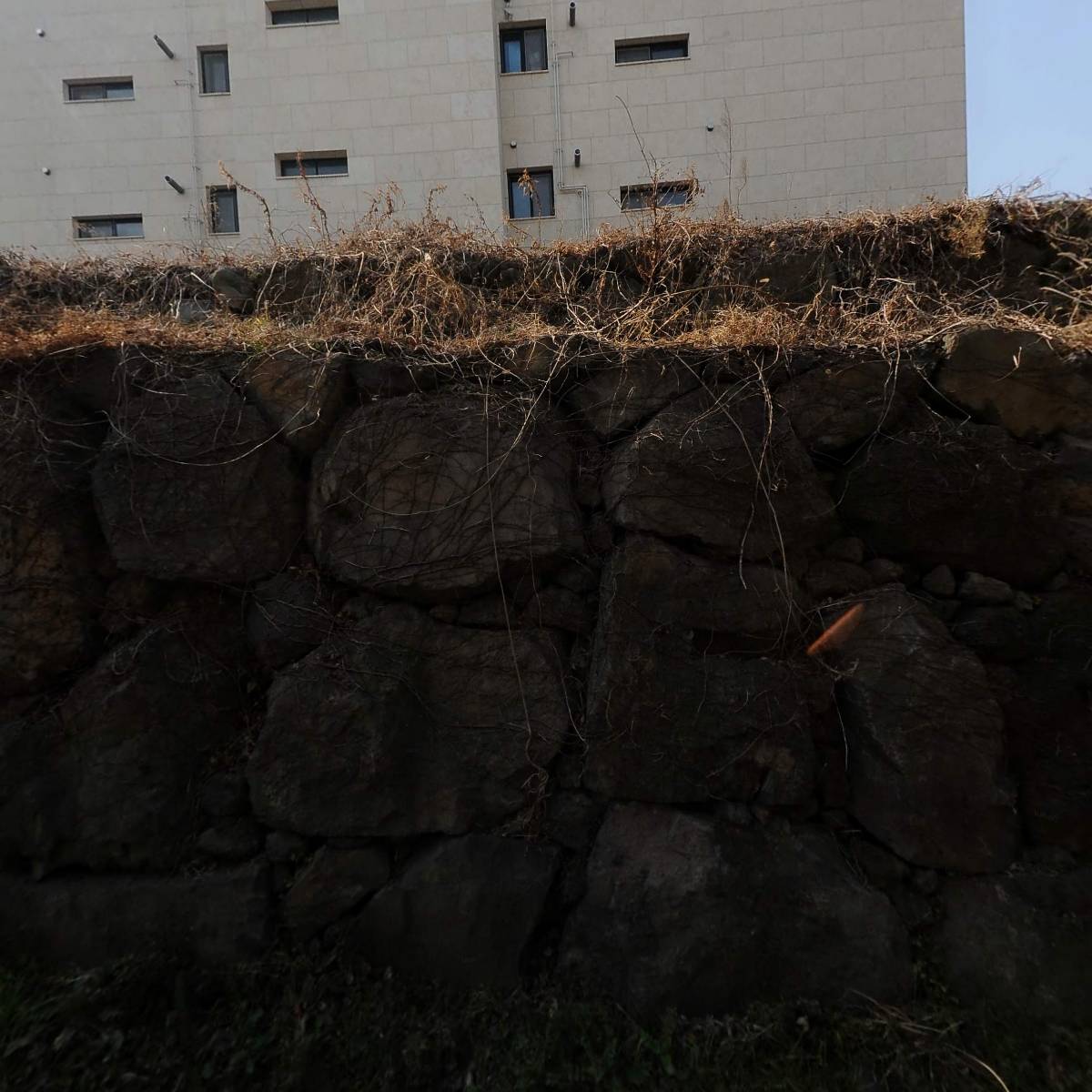 디트루키친