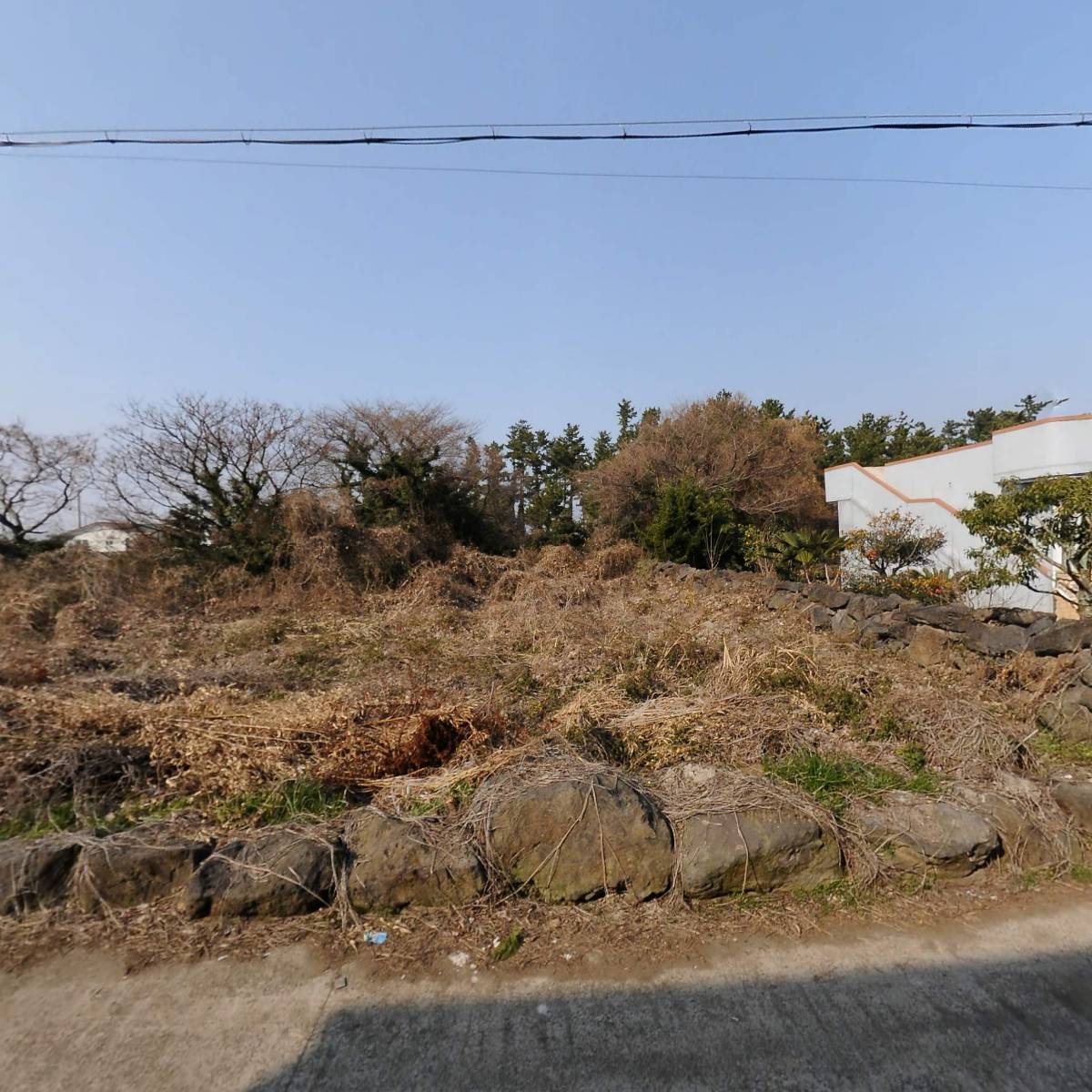 록베어스튜디오 주식회사(Rock Bear Studio Co.,Ltd)_3