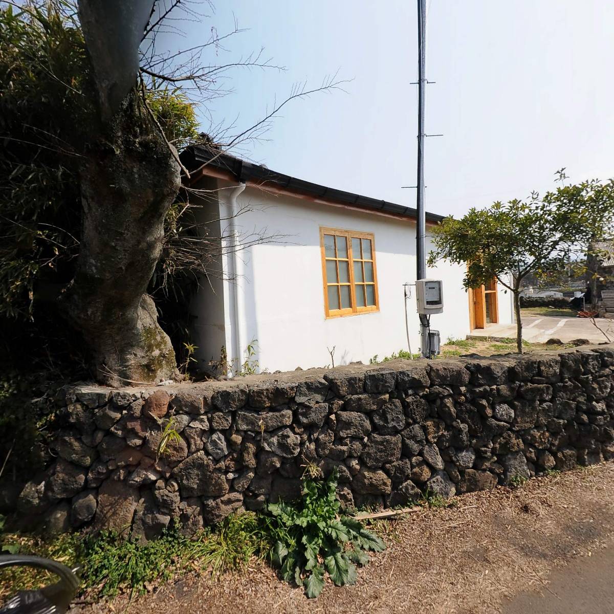 테라도스