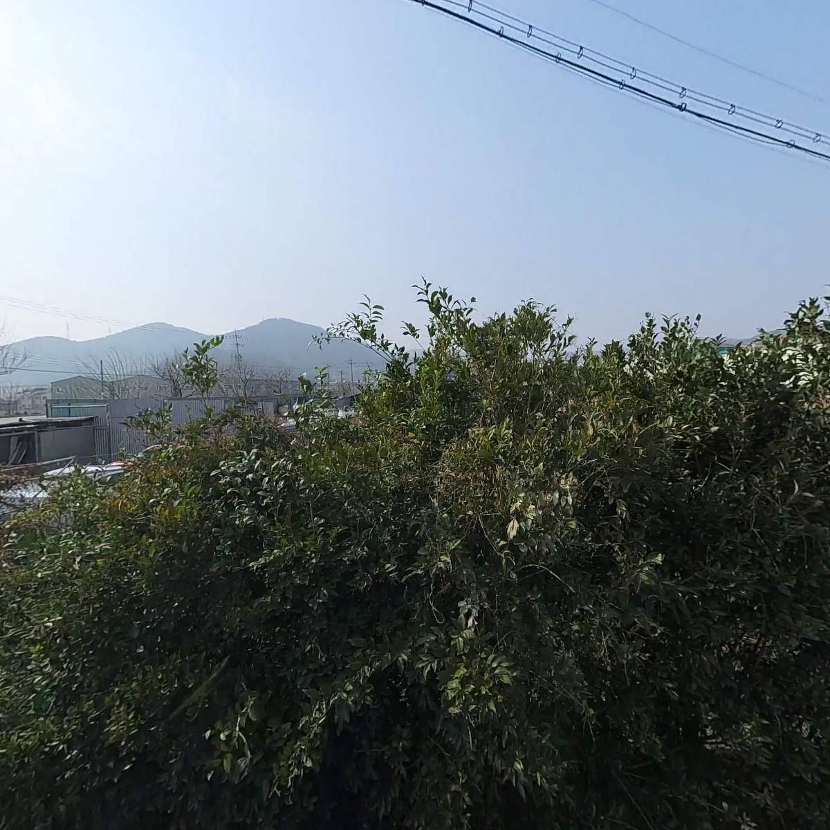 협성중기_3