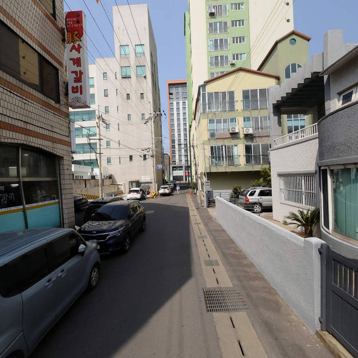 제주테라코_2
