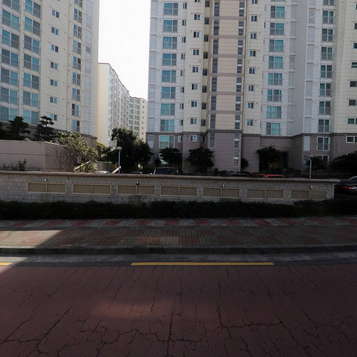 황고집_3