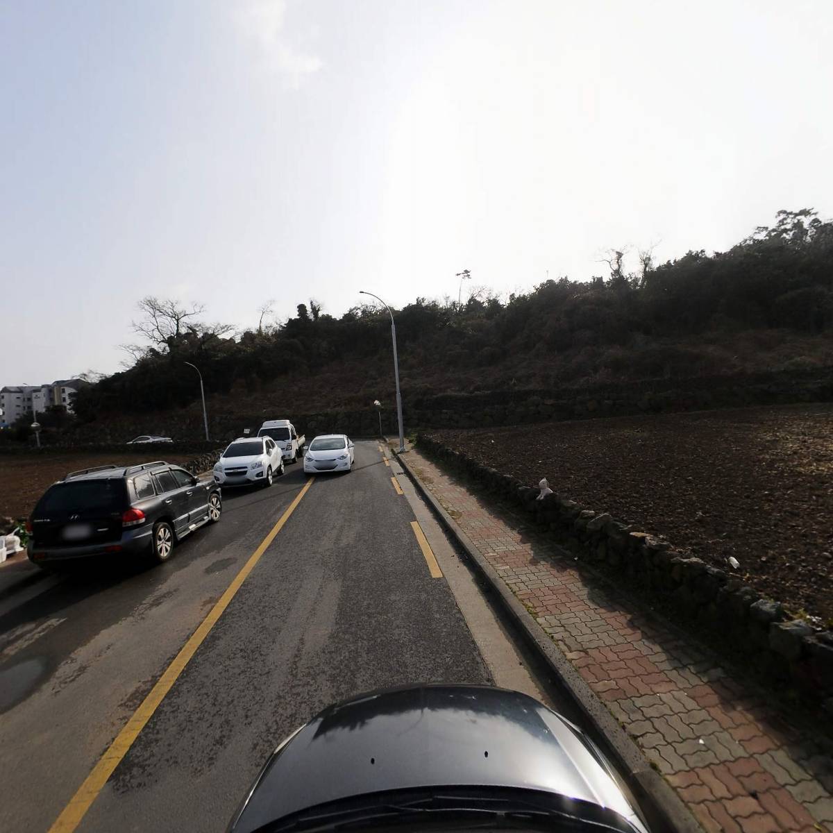 제주노몰_4