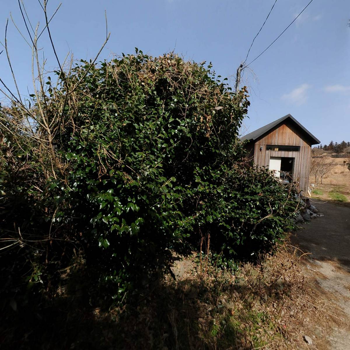 선한목수
