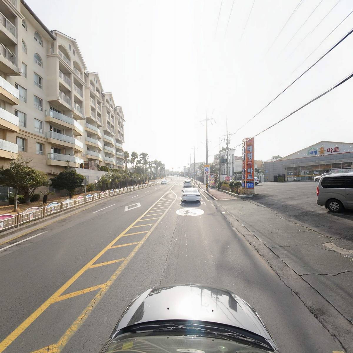 알라스카인제주_4