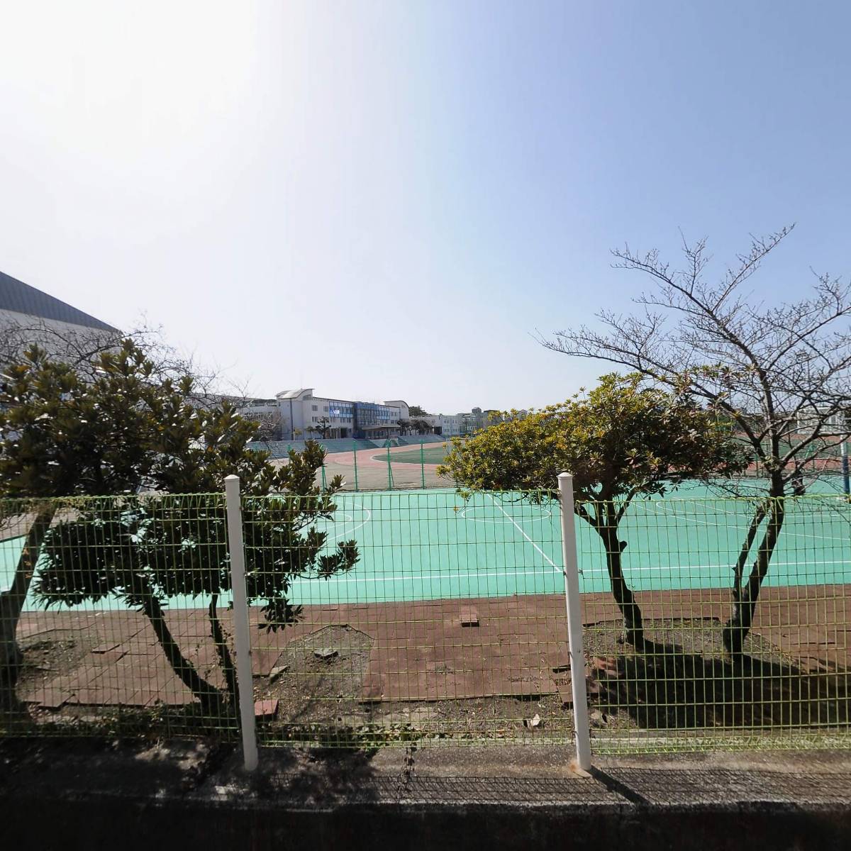 더블라인 스칼프 제주점