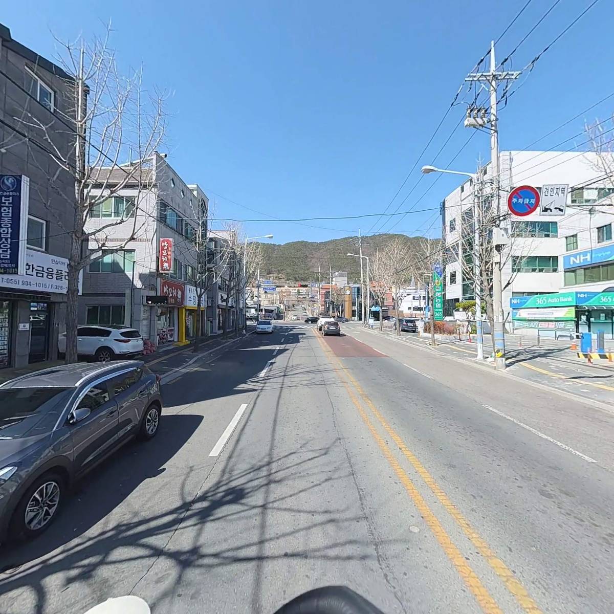 부산오징어_2