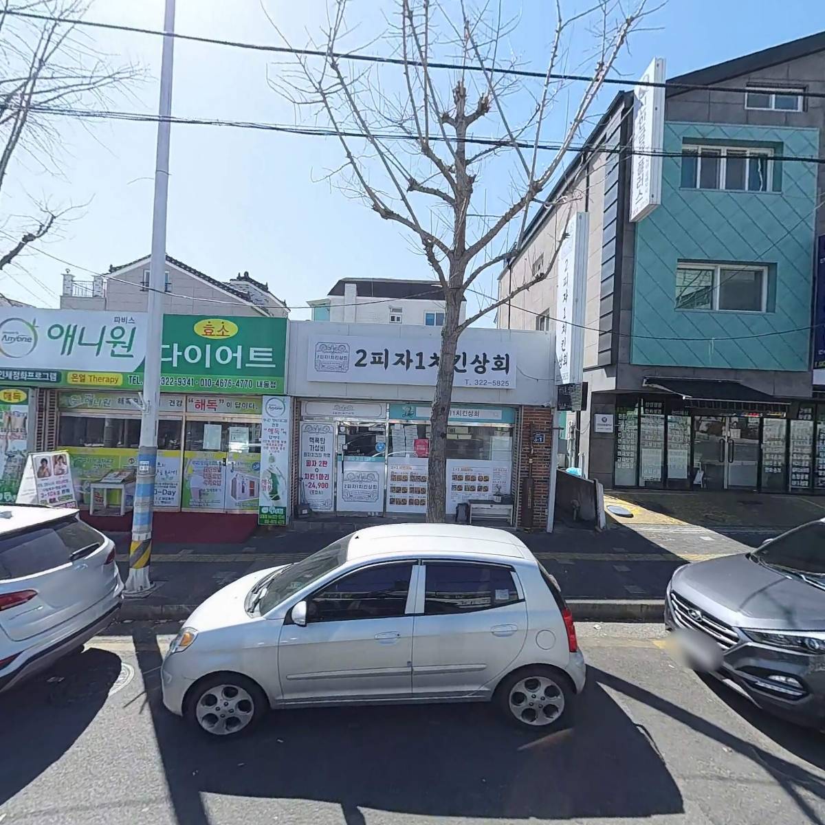 부산오징어