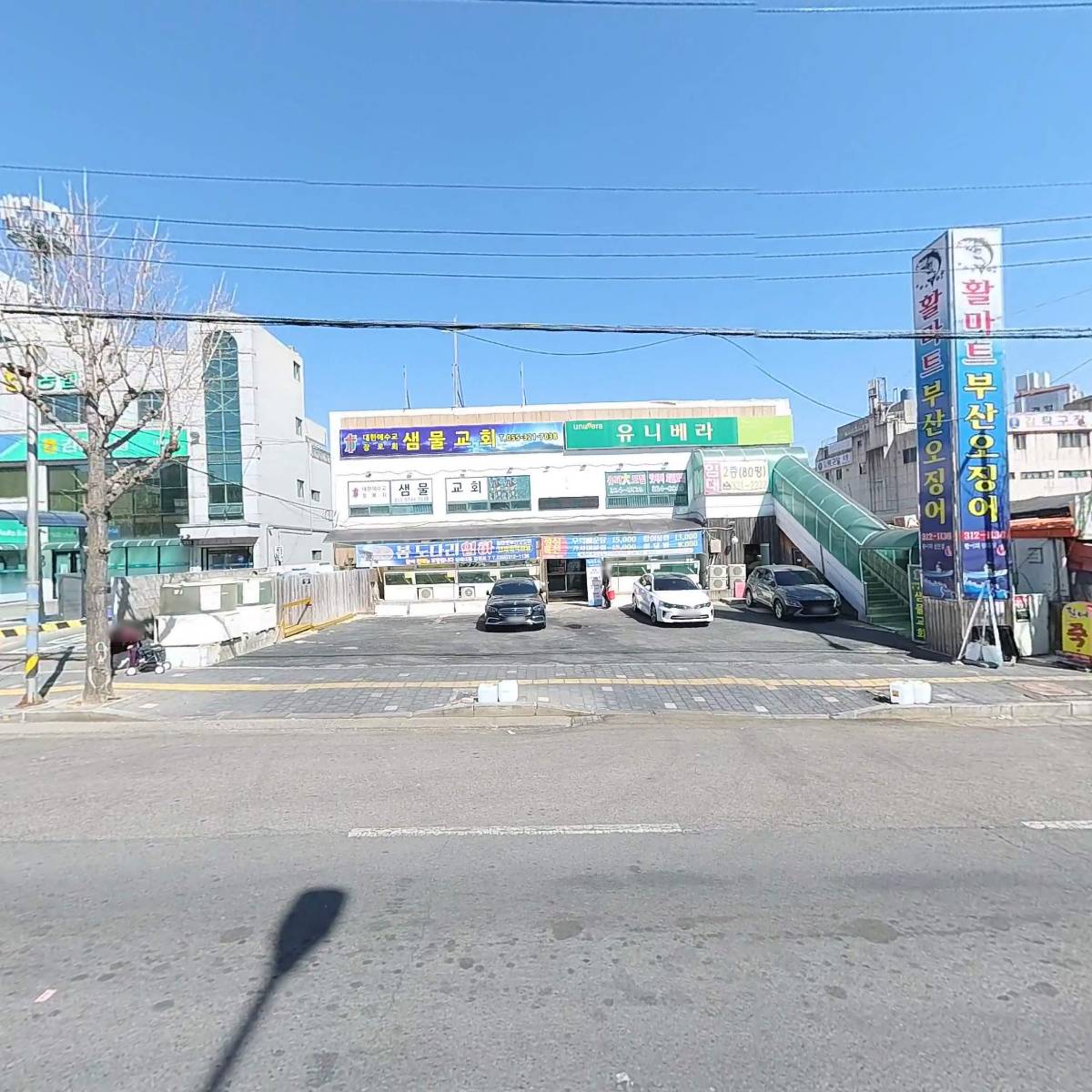 부산오징어_3