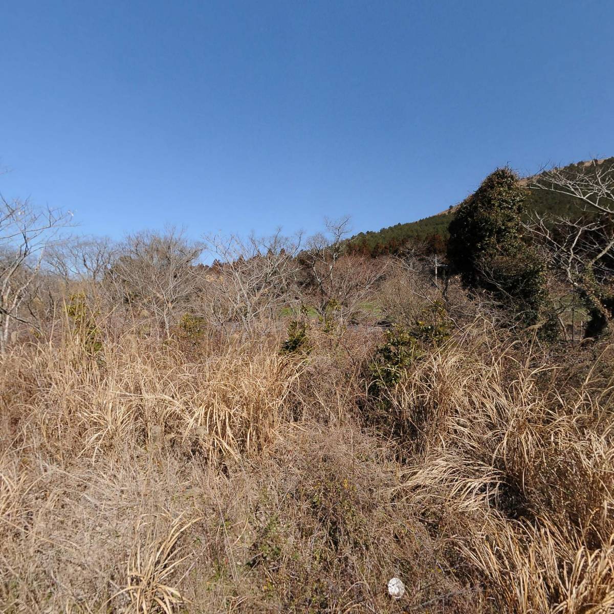 주식회사 기영종합물류 (제주지점)