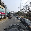 김해비단잉어 천아트_4