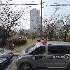 김해비단잉어 천아트