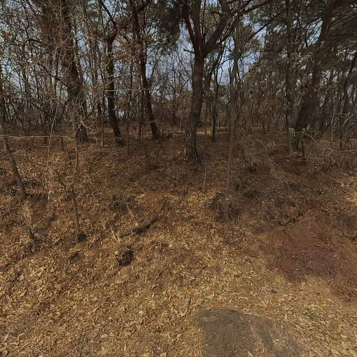 (주)동명가설산업_3
