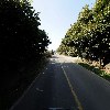 성일농장_2