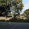 성일농장_3