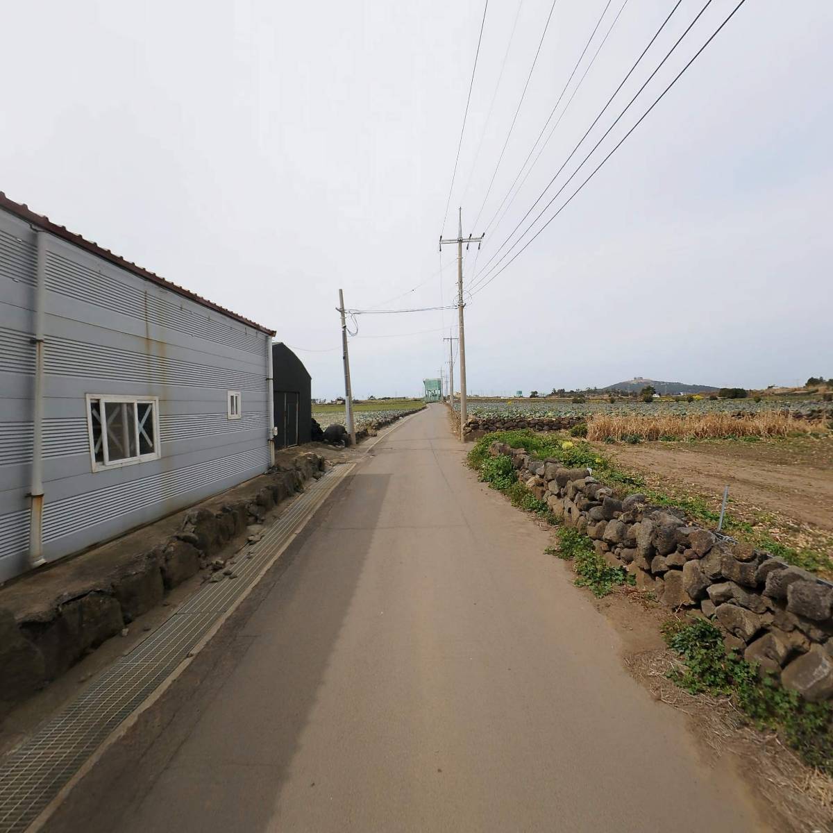 더그린제주 친환경 영농조합법인_2