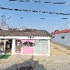 카페탱자