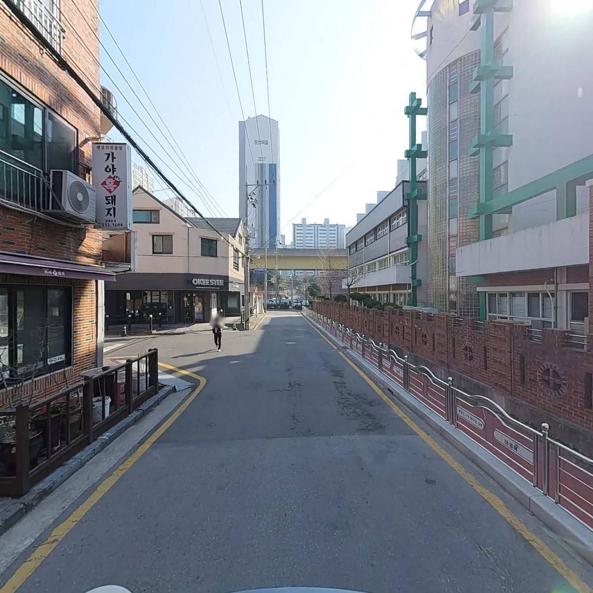 가야흑돼지_2