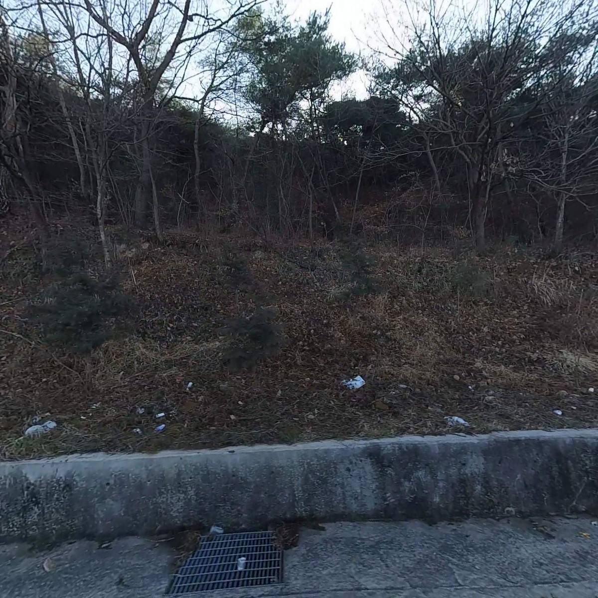 (주)티엘디