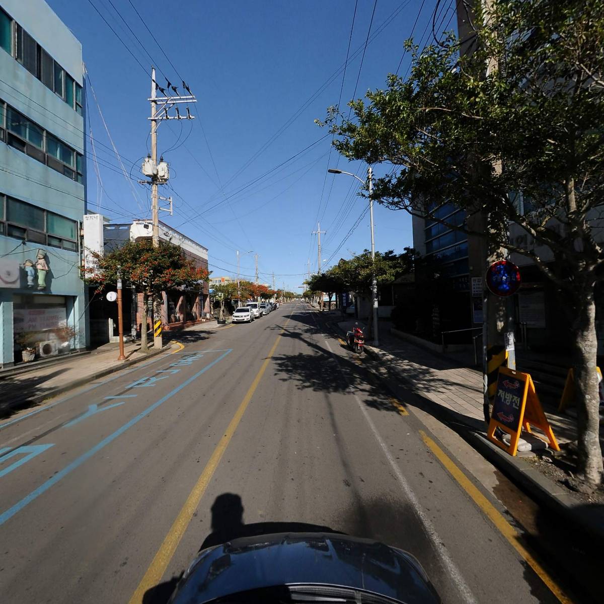 정온정형외과_4