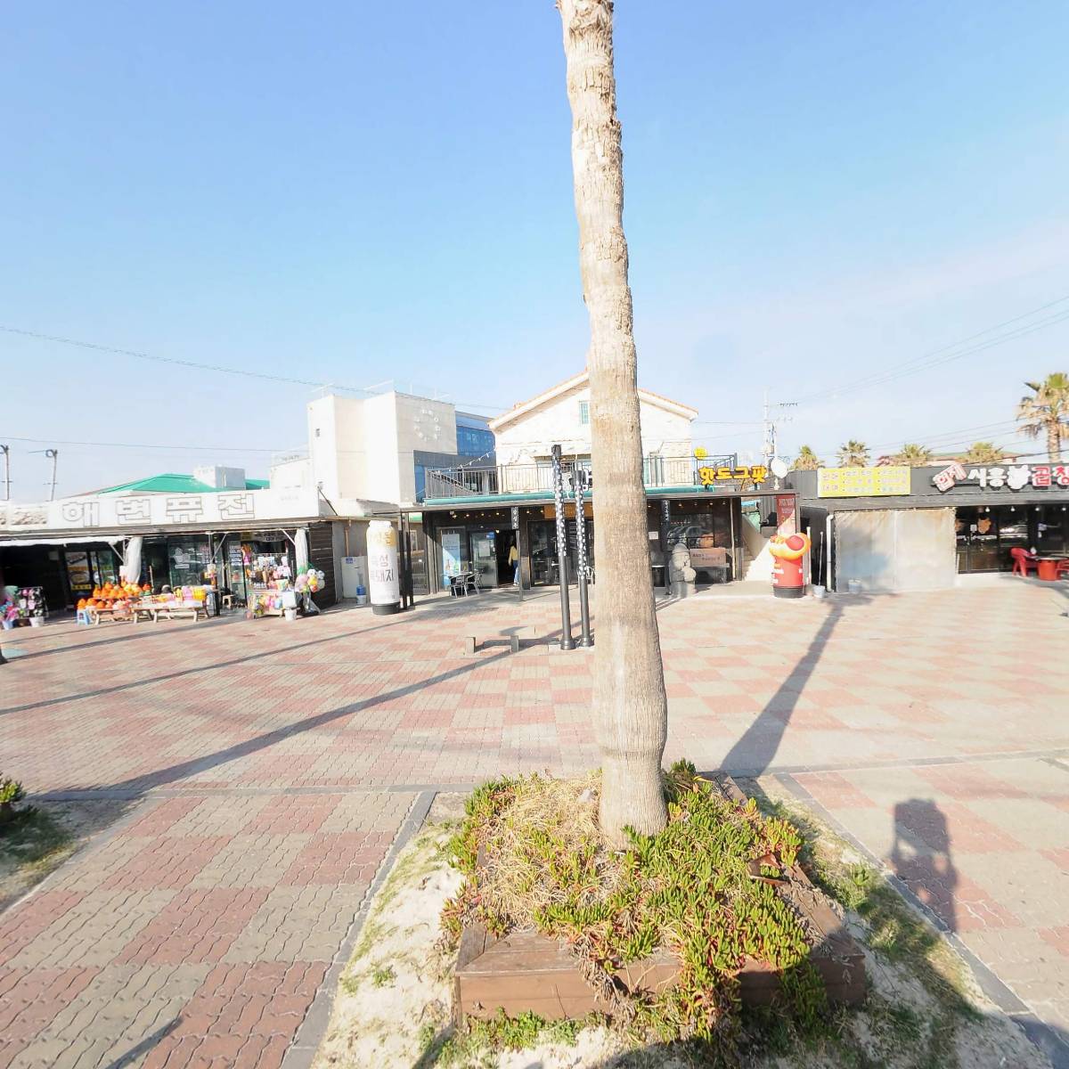 제주흑돼지 감성돈협재본점