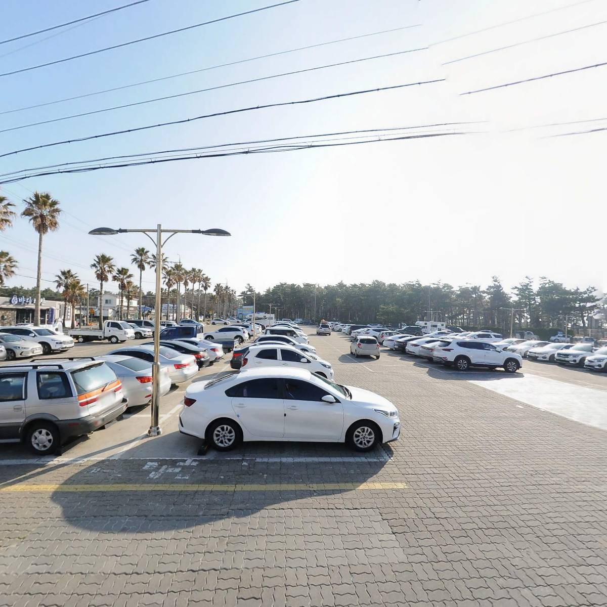 제주흑돼지 감성돈협재본점_3