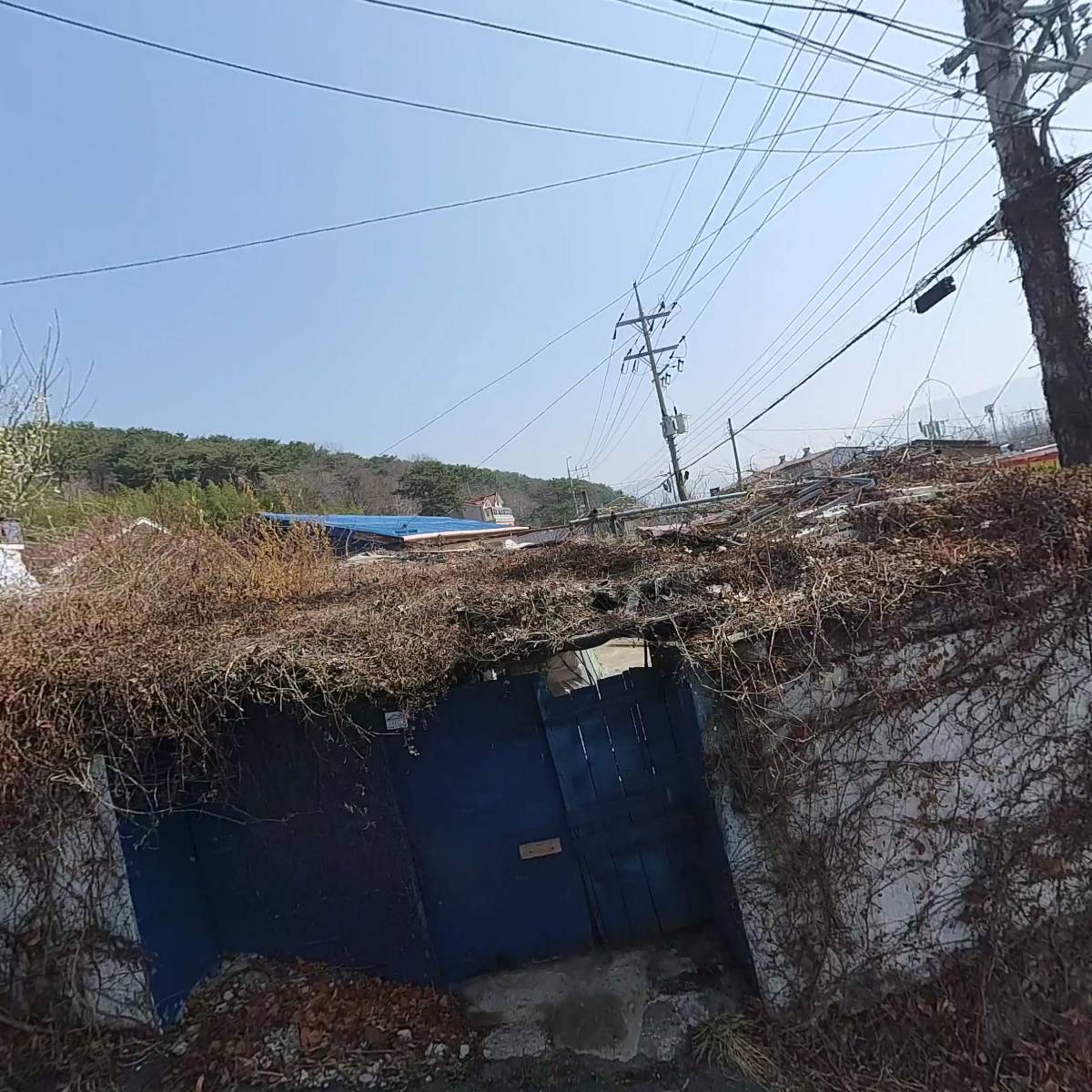 현 푸드