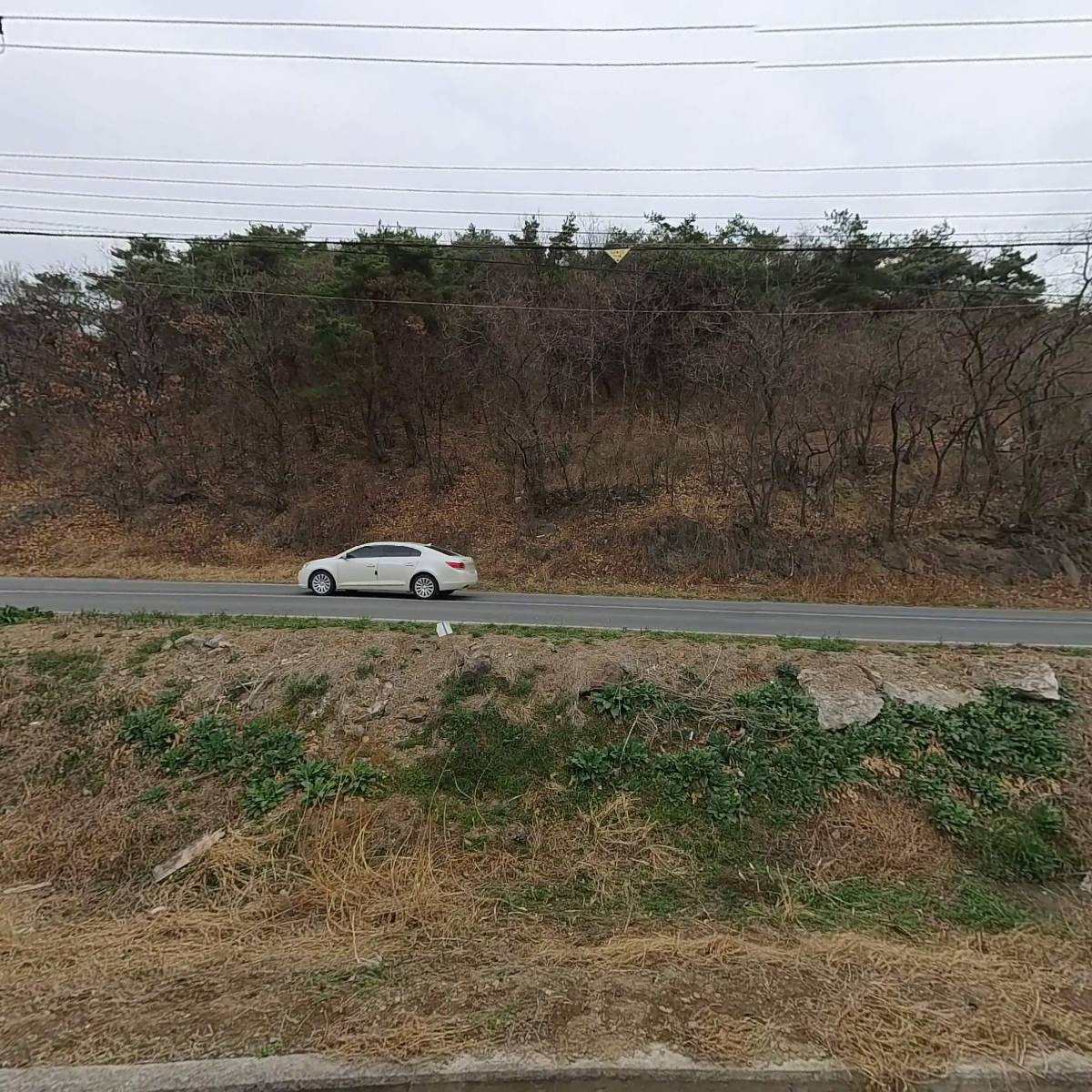 진영화학_3
