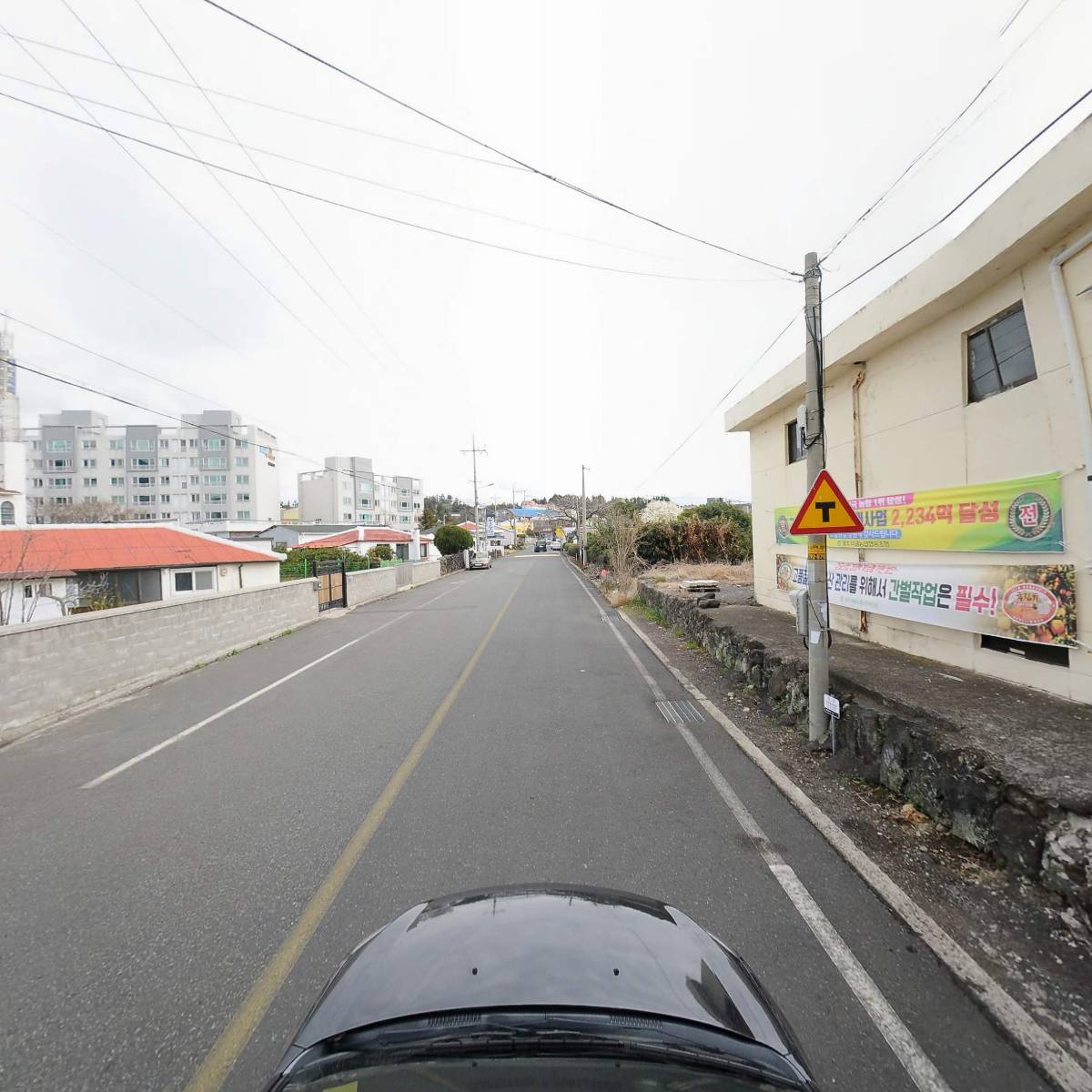 제주감귤농업협동조합안덕지점_4