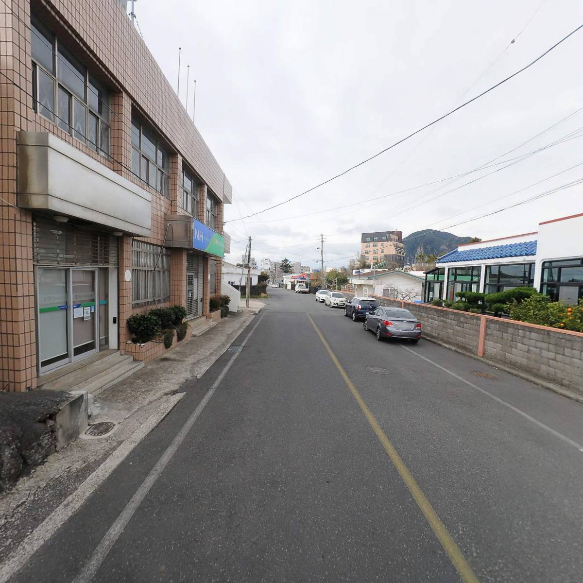 제주감귤농업협동조합안덕지점_2