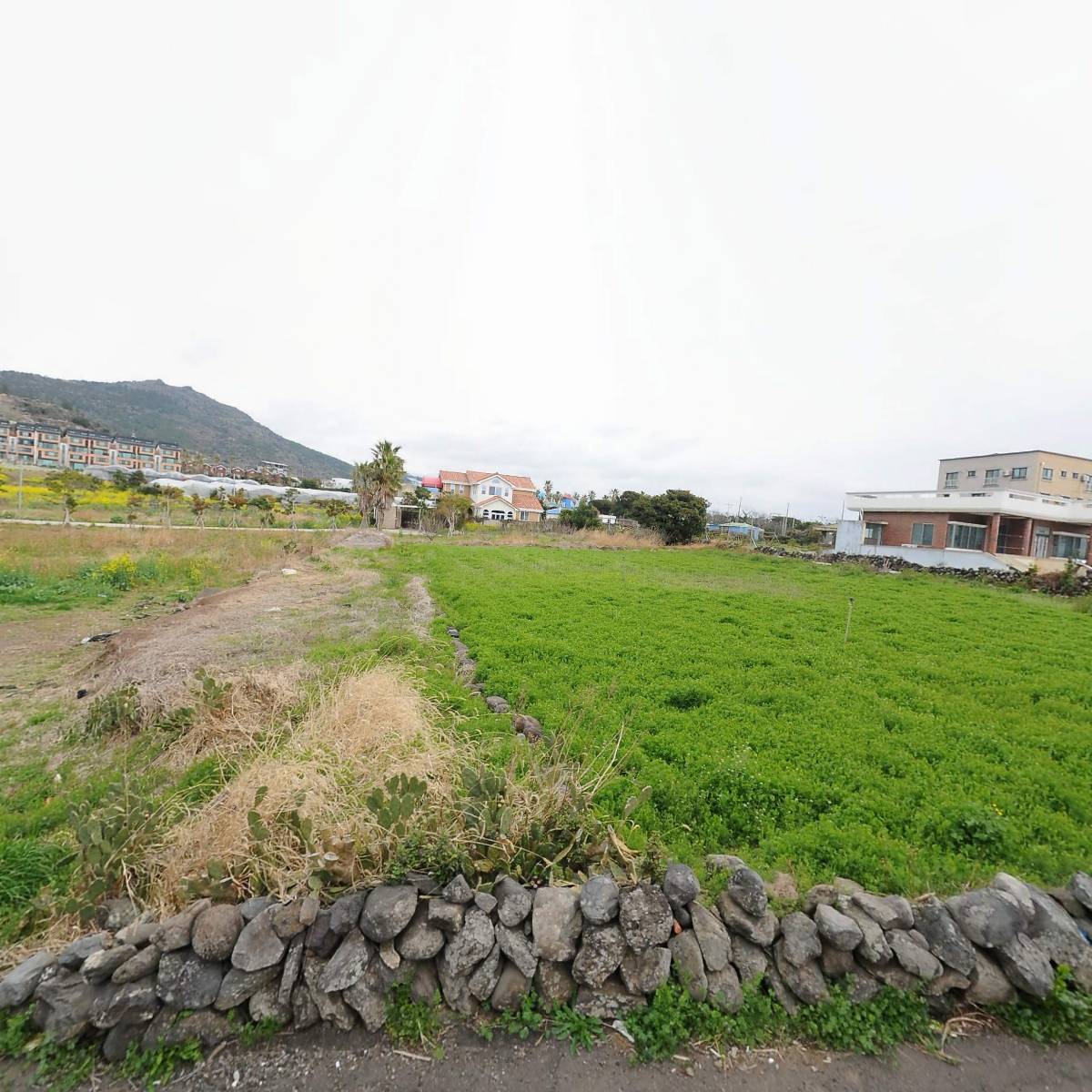 바산올레