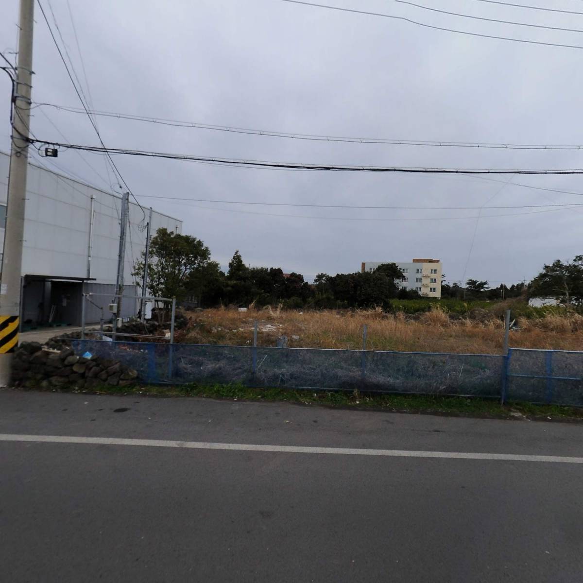 피자탑(표선점)_3