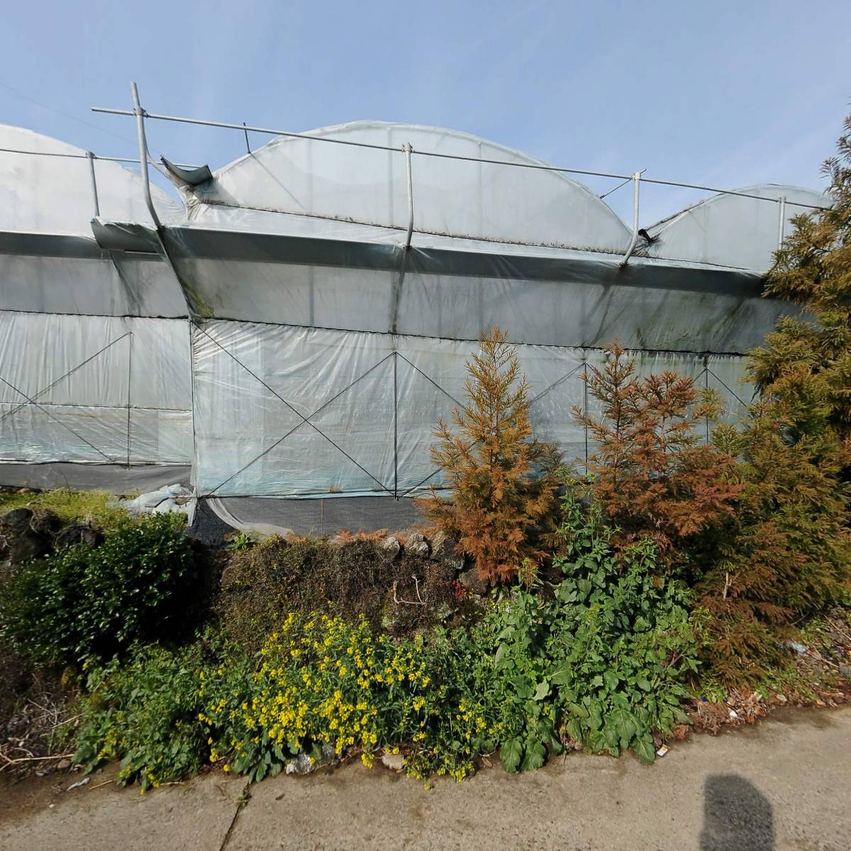 주식회사 제이콘텐츠랩(J Contents Lab Co., Ltd)_3