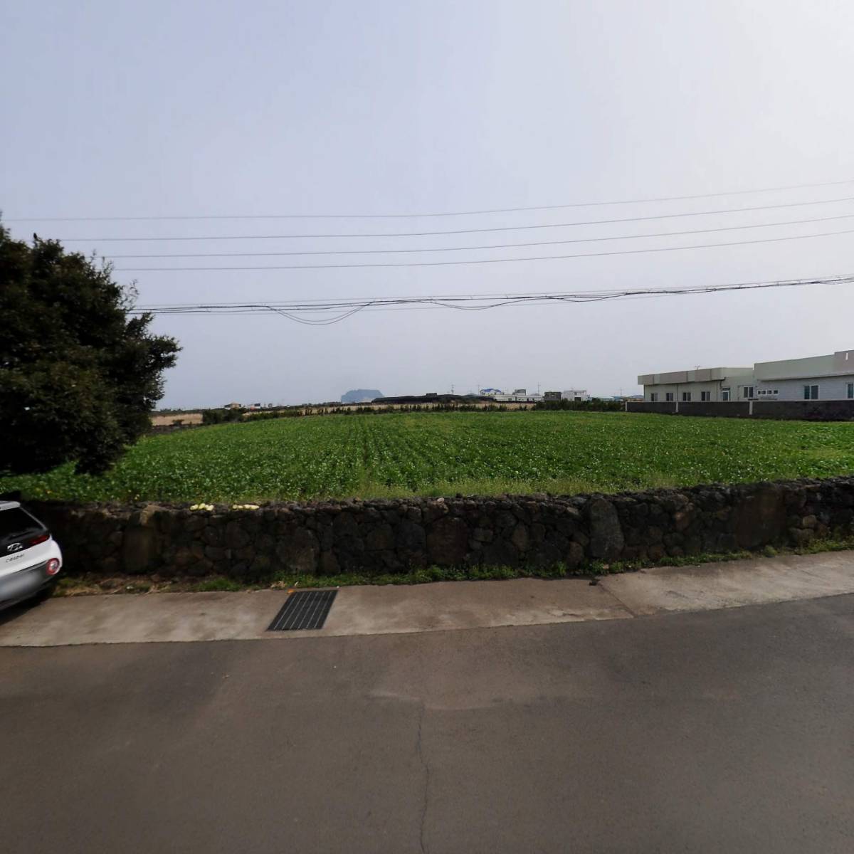 꽃돼지정식_3