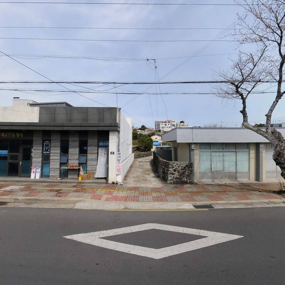 (주)바이오비제주_3