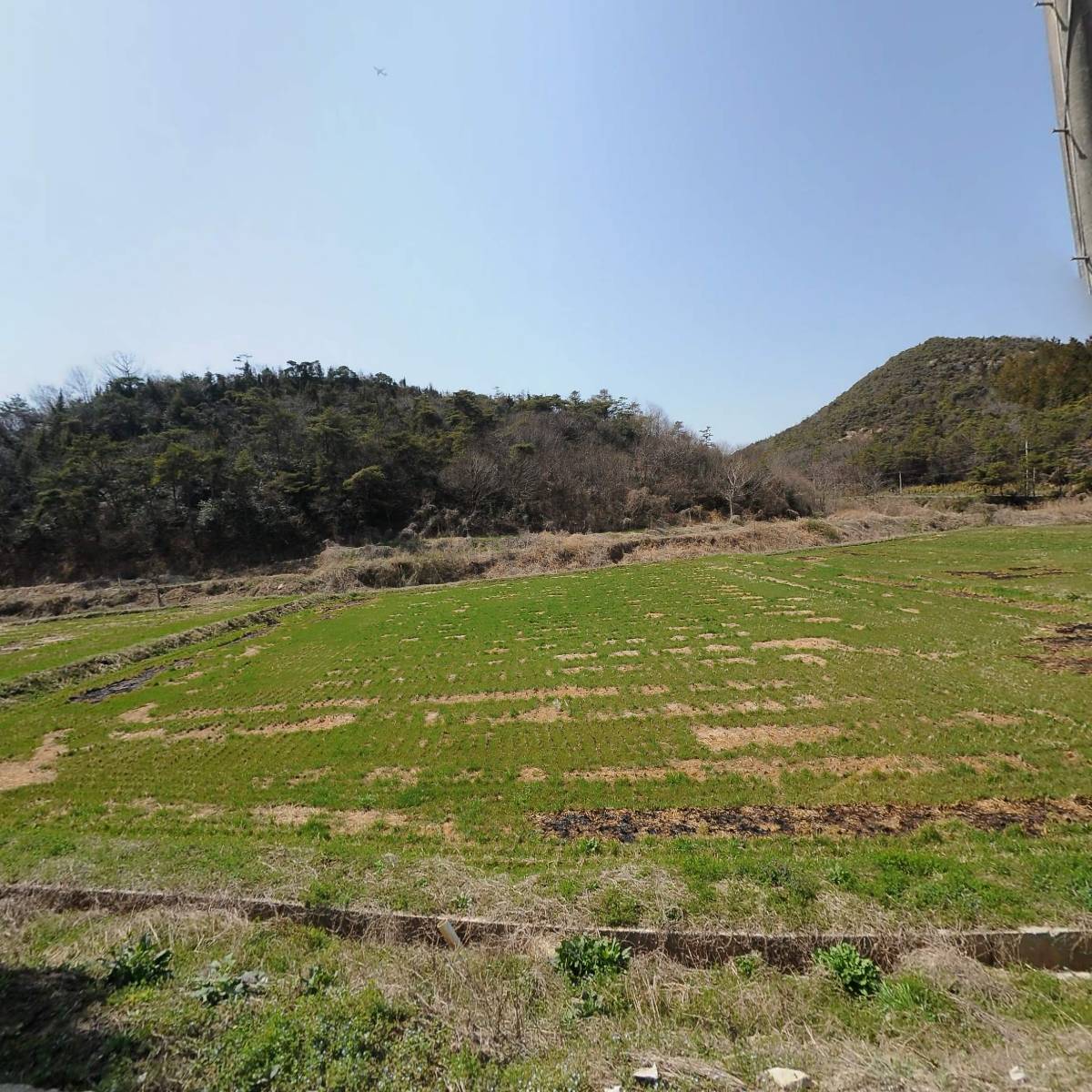 금성환경개발(주)