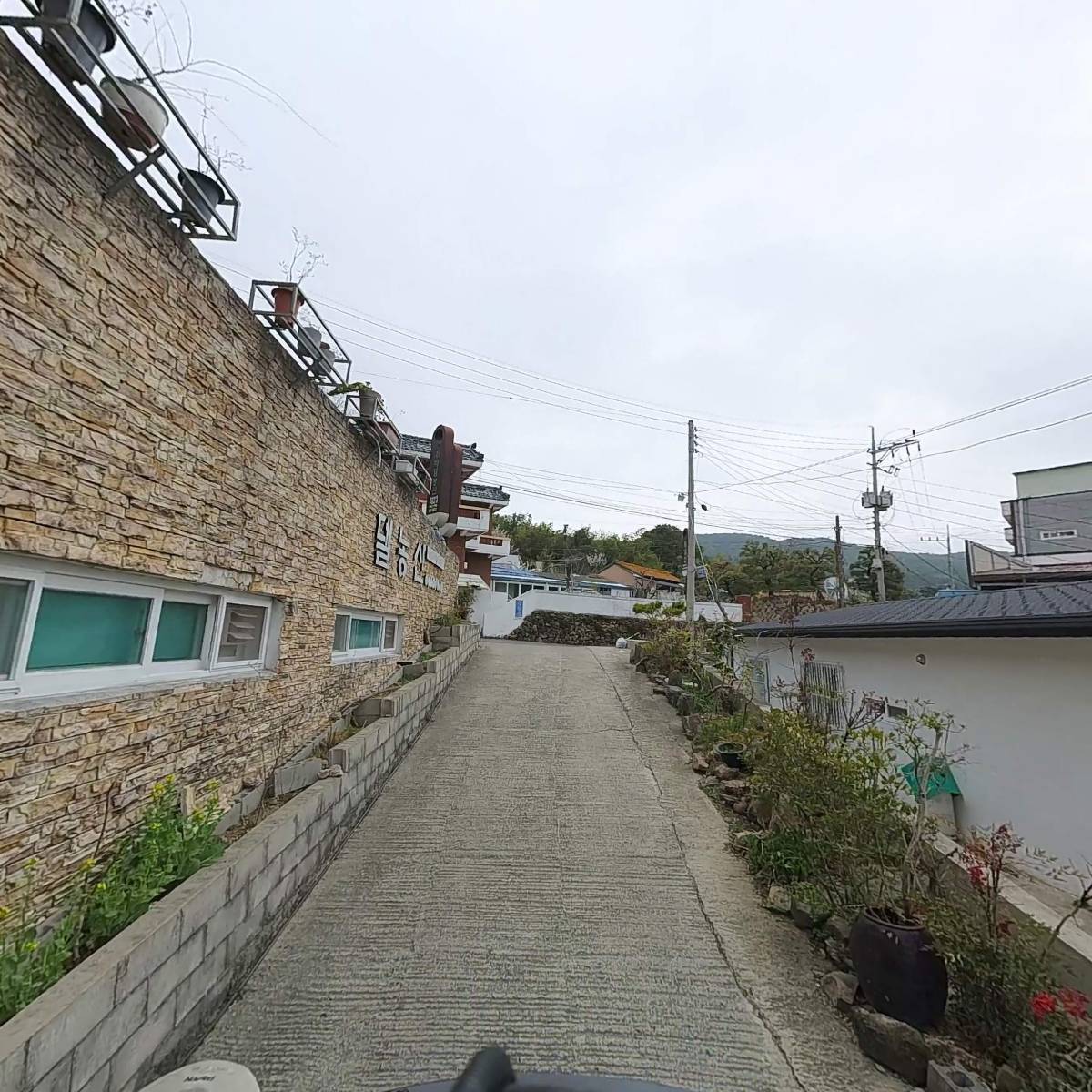 베델농산_2