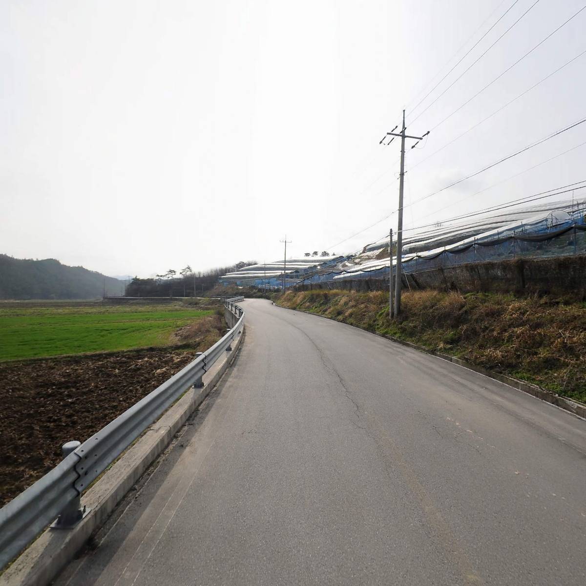 농업회사법인 주식회사 영글어농장_2