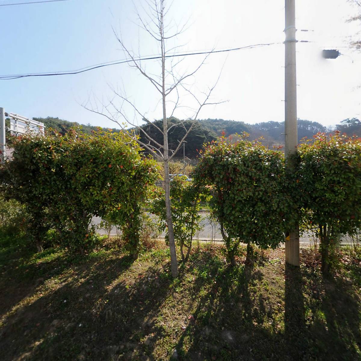 농업회사법인 주식회사 쿱농산