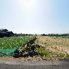시화루_3