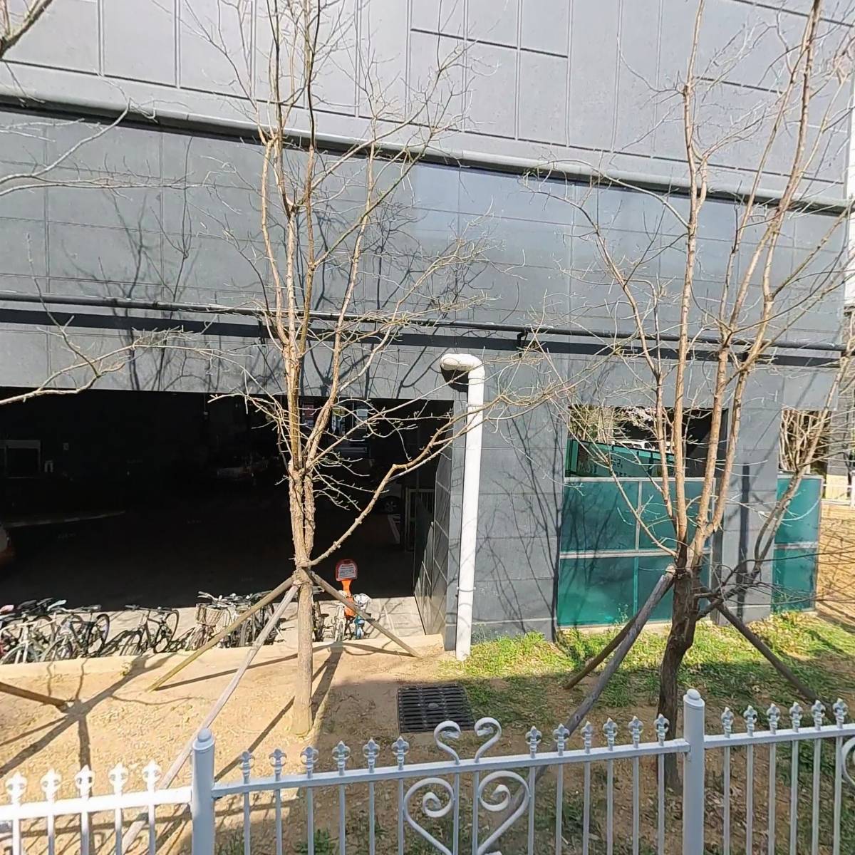 소유펫