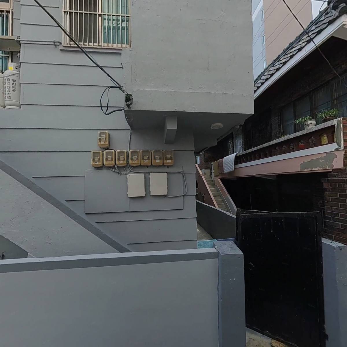 소유펫_3