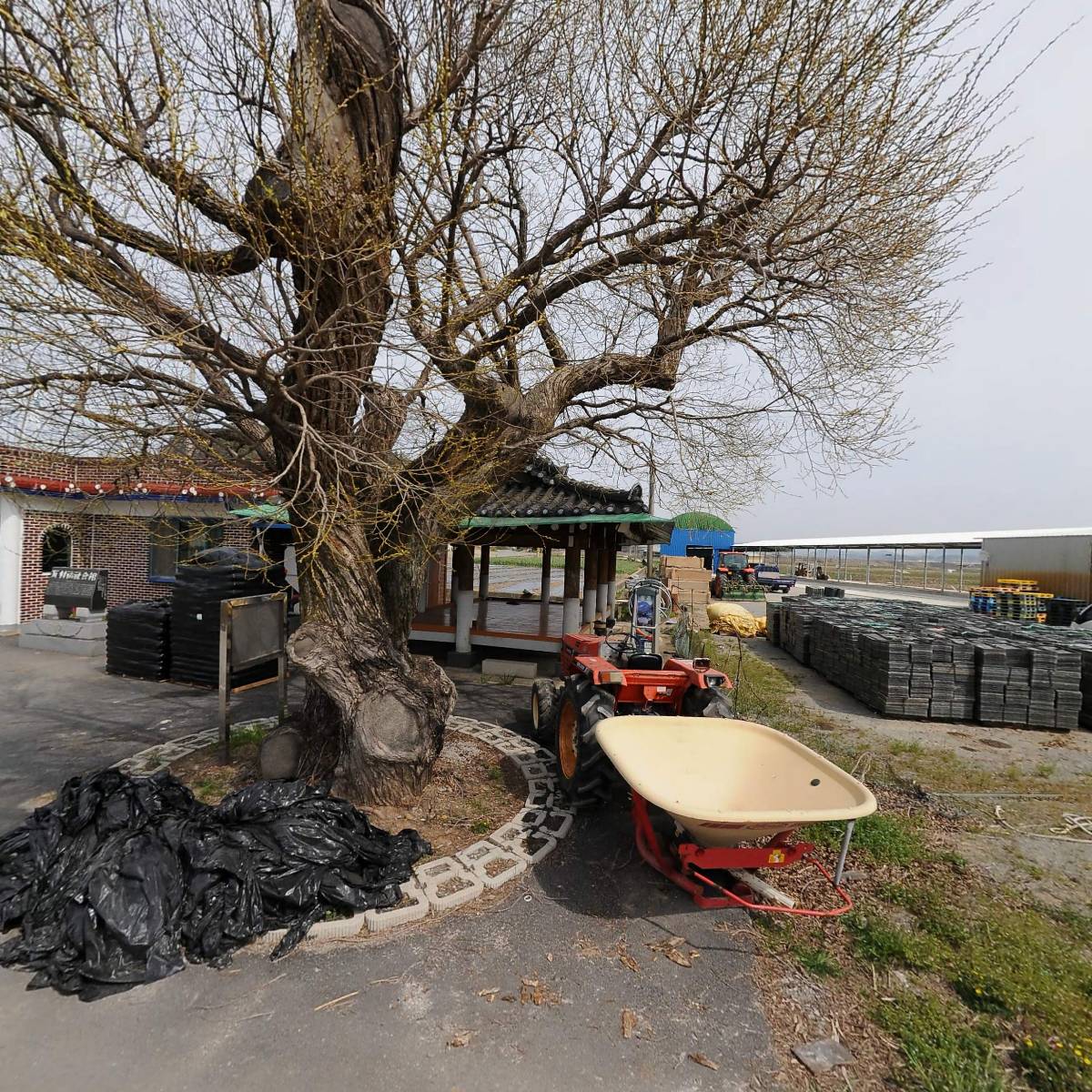 대노 함평군지회 엄다면분회 와촌경로당