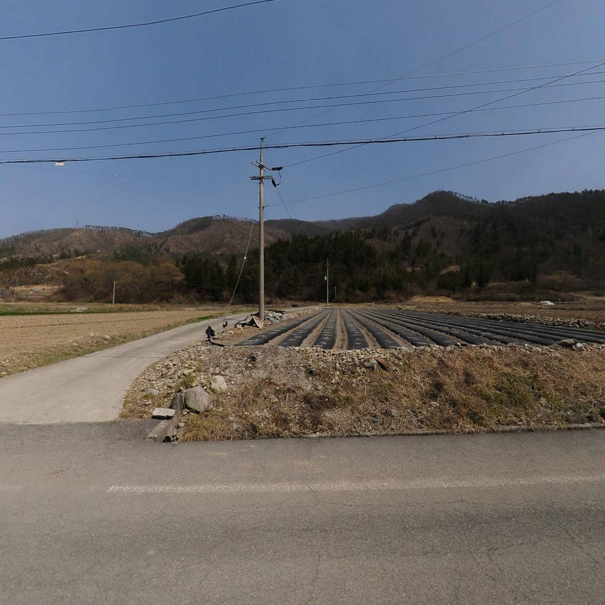 농업회사법인 유한회사 예담원_3