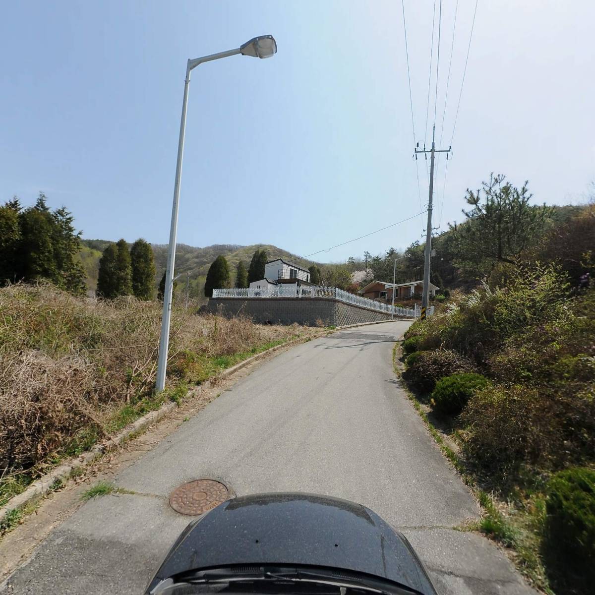 담양참죽순_4