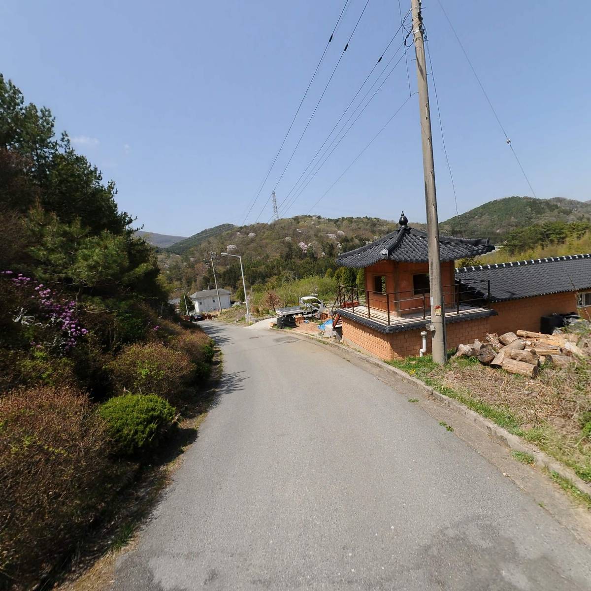 담양참죽순_2