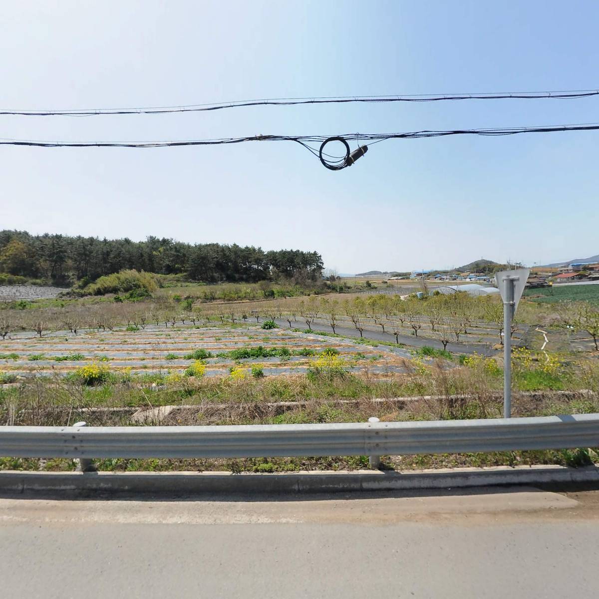 삼형제유통