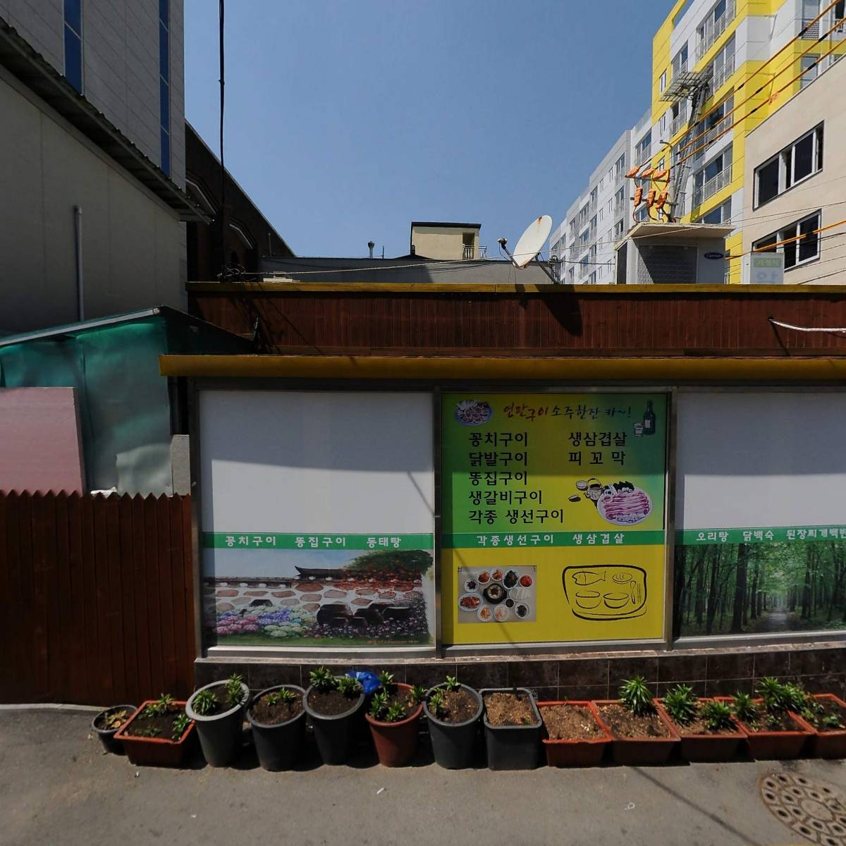 용인대학교태권도