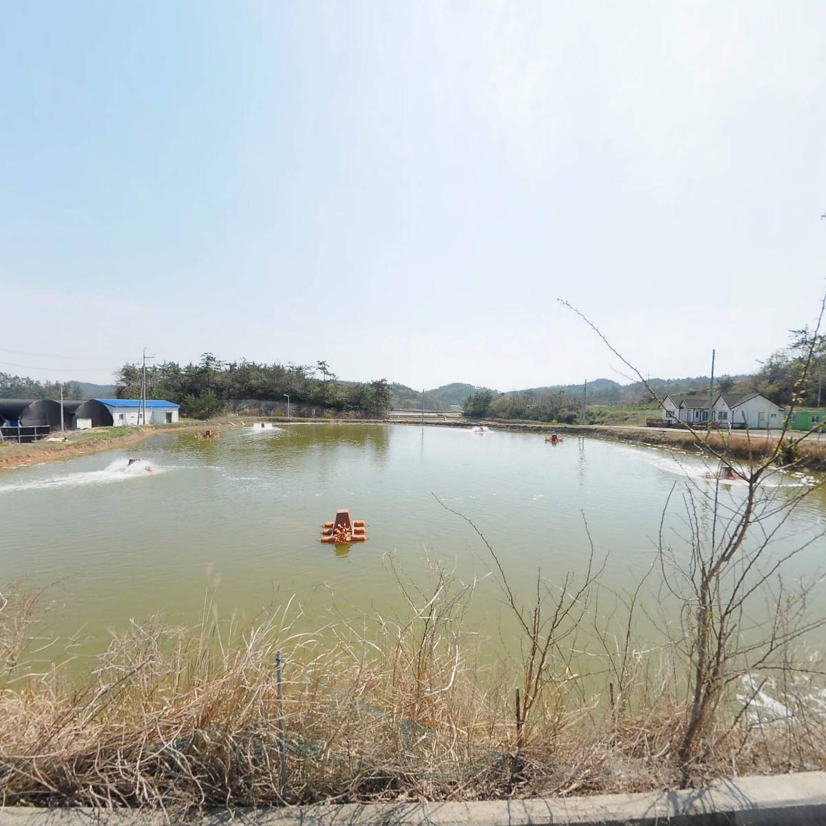 늘푸른청정수산
