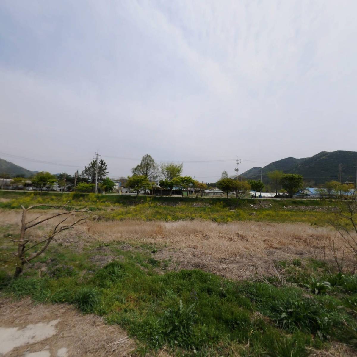 도담농장_3
